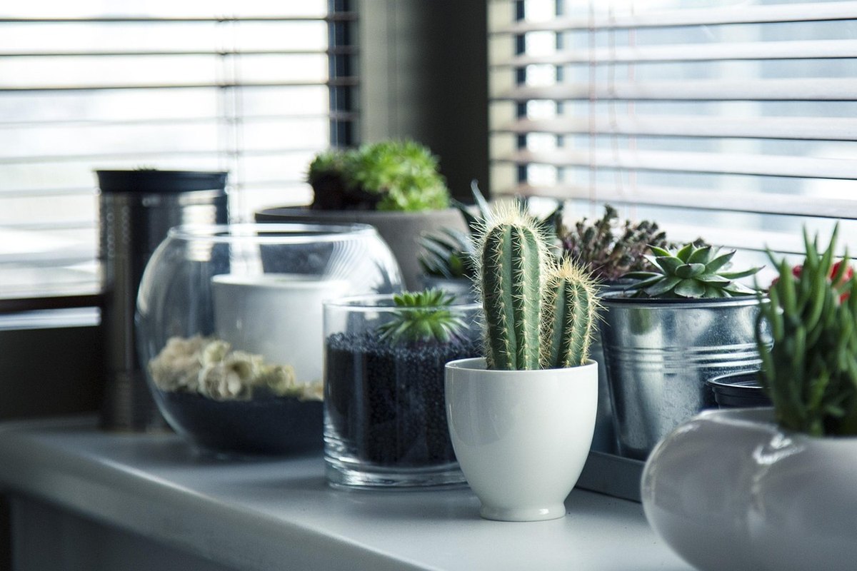 Décorer son salon dans un style bohème chic : le guide complet